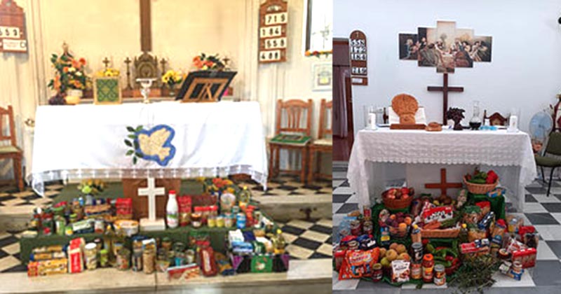HARVEST FESTIVAL: What a wonderful time of year.