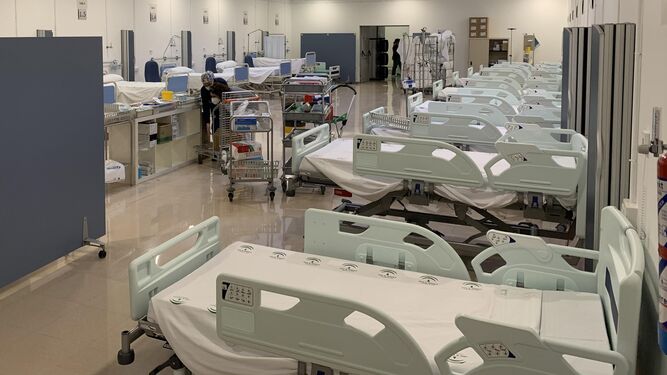 Malaga registers zero admissions to hospital ICU's over the last week