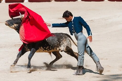 Bullfighting will be excluded from Spanish cultural voucher