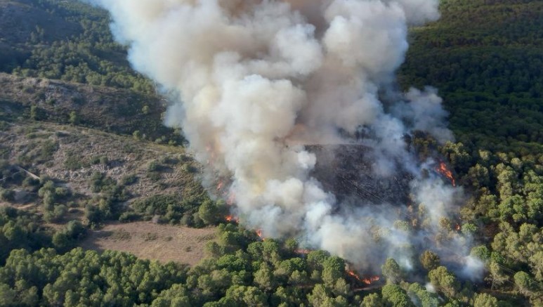Arsonist jailed for starting 12 forest fires in Catalonia this summer