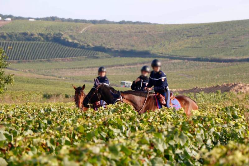 Europol checking for labour exploitation in the agricultural sector