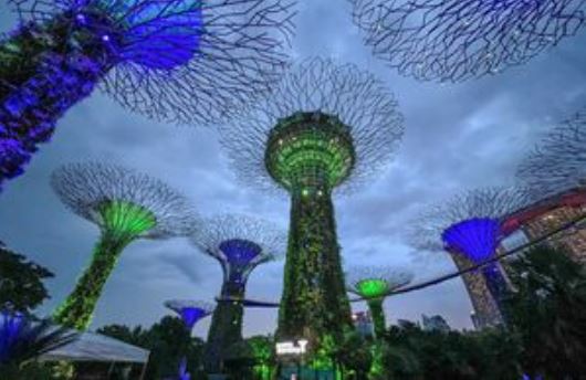 Singapore skyline lights up for COP26