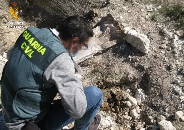 Guardia Civil investigate the deaths of 22 'healthy' dogs in Palencia