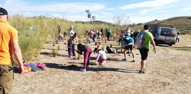 Malaga plants trees to help fight climate change