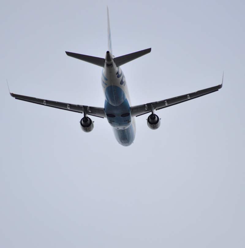 airline flybe returns
