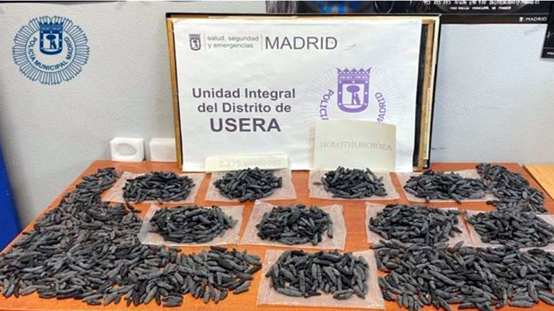 Police seize 1000s of illegal 'sea cucumbers' in Madrid restaurant