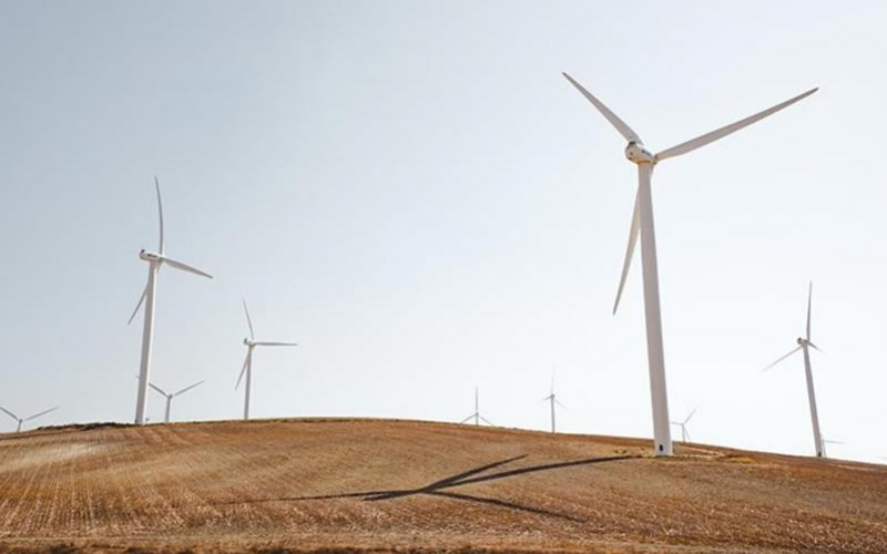 Wind companies preparing millionaire lawsuits against the Government