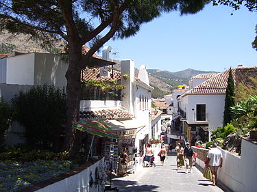 Mijas dog owners could face €750 fines