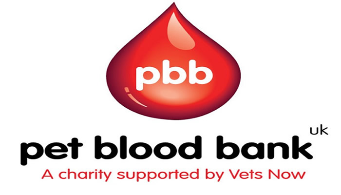 Check out the UK's amazing blood donation charity that saves the lives of dogs