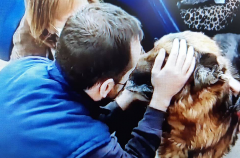 Emotional video of dog reunited with owners after 6 years highlights importance of microchips