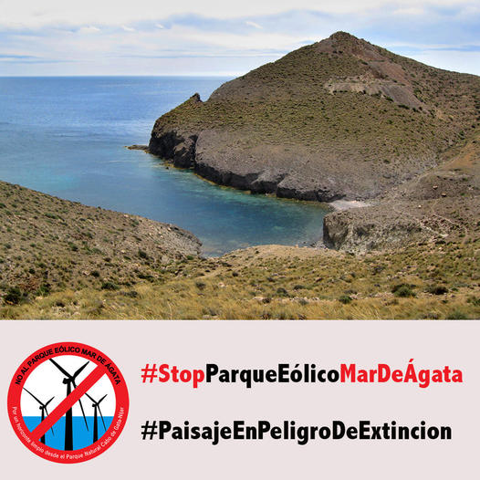 OPPOSITION to a proposed offshore Mar de Agata windfarm facing the Cabo de Gata-Nijar national park continues to grow. To date 13,000 people - including members of 120 local, regional and national groups - have signed the online www.change.org petition organised by the Stop Parque Eolico Mar de Agata platform. “They understand that the loss of biodiversity resulting from the windfarm would be as serious as climate change,” an Amigos del Parque Natural Cabo de Gata-Nijar group spokesperson said. “And the battle against climate cannot be fought at the expense of biodiversity.” Environmentalist, wildlife protection groups and fishing guilds opposed to the Mar de Agata project have been joined by Ashal, which represents Almeria province’s hospitality sector, as well as associations whose members own businesses located inside the national park. Stop Parque Eolico Mar de Agata argues that the 20 wind turbines, each of which is 261 metres tall, would occupy an area of 70 square kilometres very close to several officially-protected marine zones. The platform, which is continuing to collect signatures for the www.change.org petition stressed that renewable energy, if well-planned, are a good option for complying with the EU’s objectives. “But the process needs a participative and decentralised transition, making use of already-developed areas with the least possible impact on the environment.”