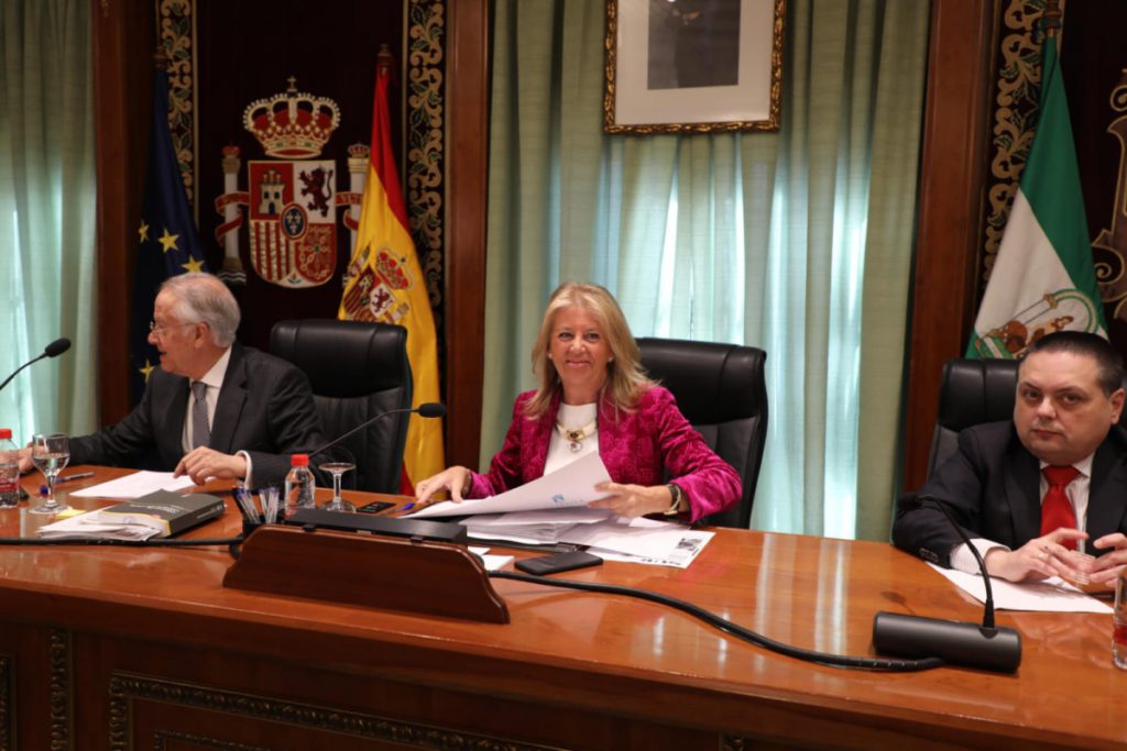 Marbella calls on the government to take urgent measures for its beaches