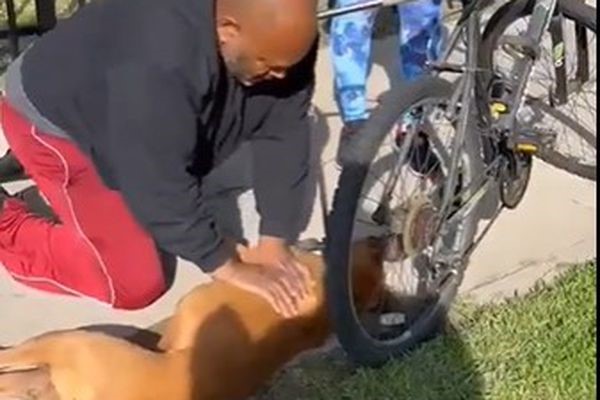 Man saves dog’s life performing CPR. Tik Tok, Los Angeles
