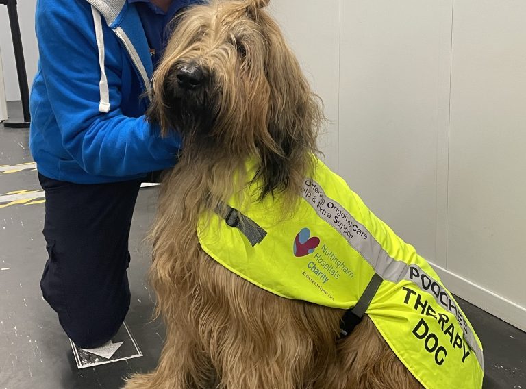 NHS therapy dog and mini toy town encourage children to get vaccinated at half term