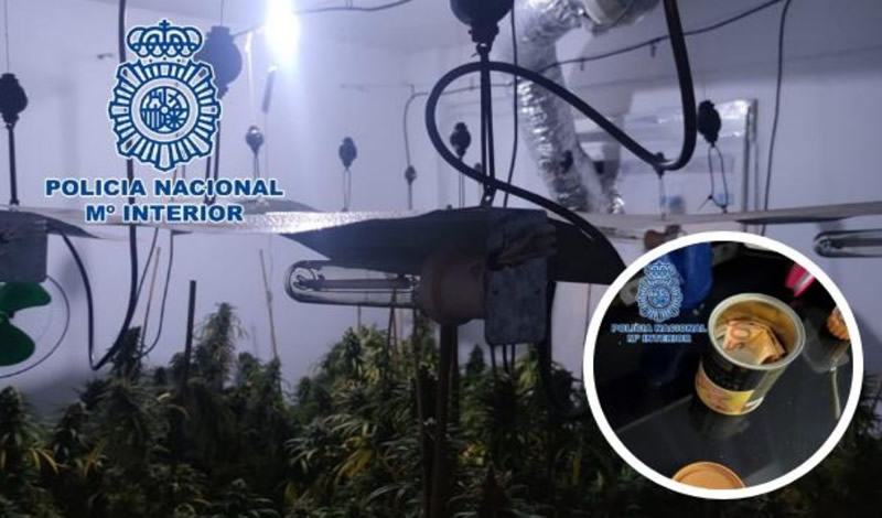 Three arrested in Granada for cultivating marijuana in their homes