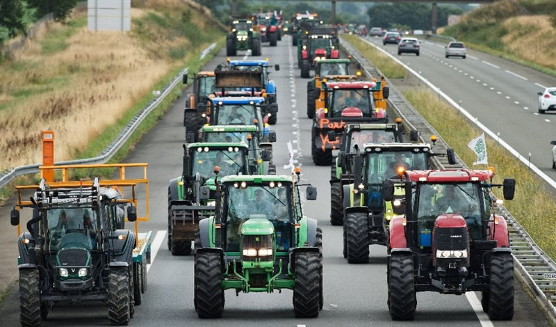 Farmers in Malaga province organise a 'tractorade' demonstration