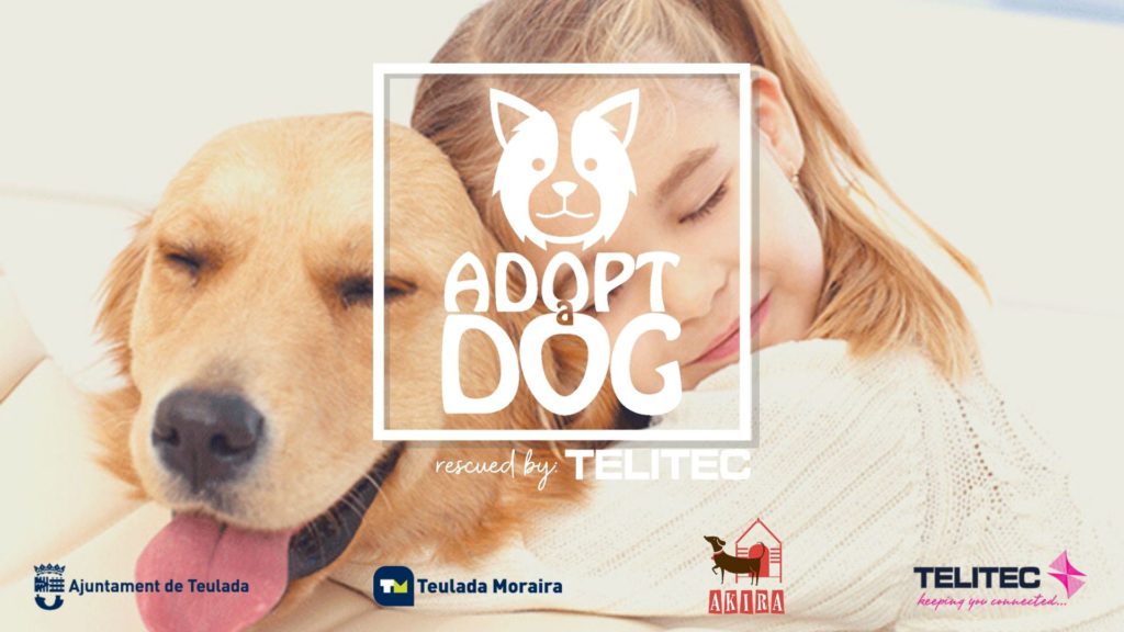 Every dog has its day in Moraira on April 10 thanks to Telitec