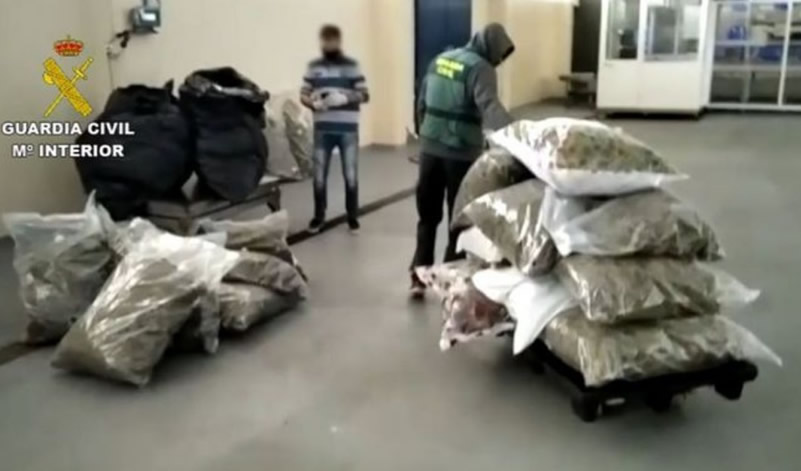 One arrested and 300 kilos of marijuana seized in Mijas warehouses