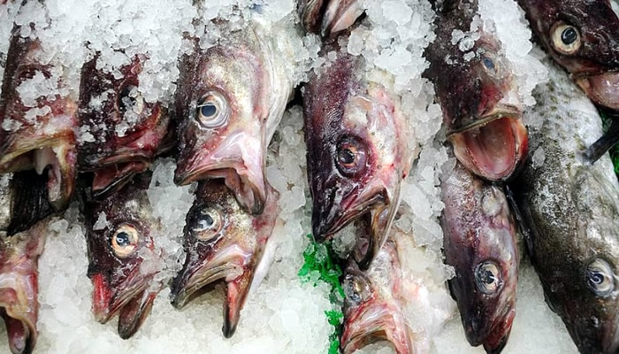 Shortage of fresh fish anticipated in Andalucia due to high fuel costs