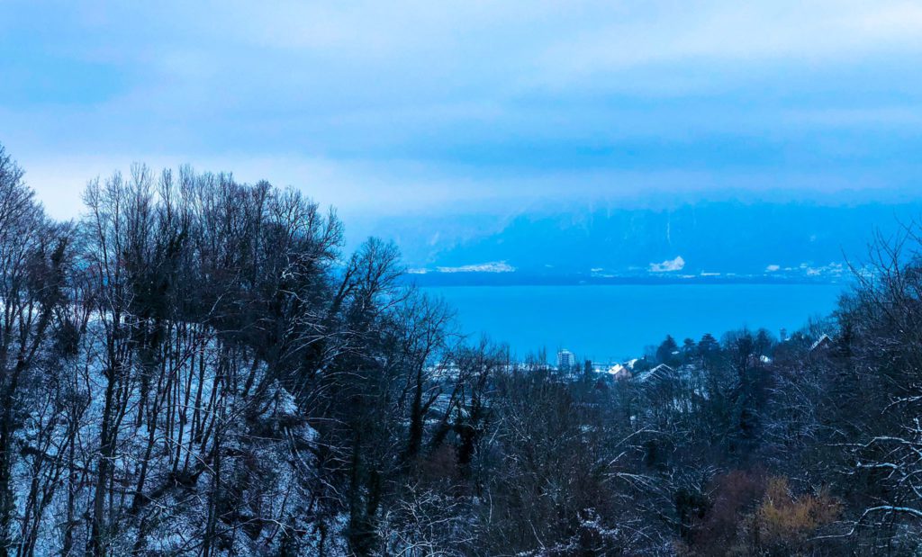 JUST IN: Multiple people found dead in the Swiss resort of Montreux on Lake Geneva