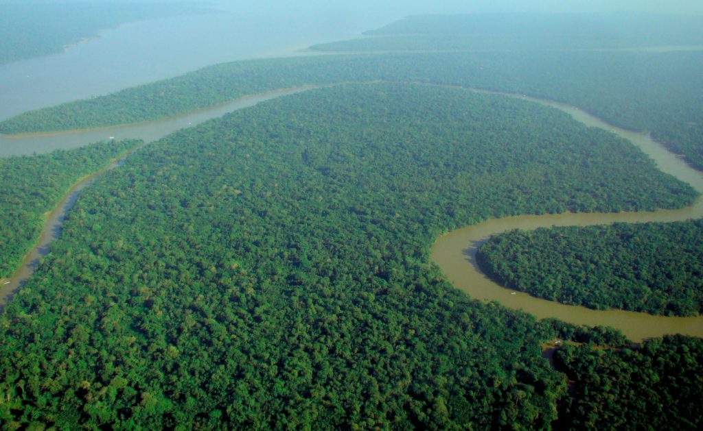 Amazon rainforest deforestation already at record levels in 2022