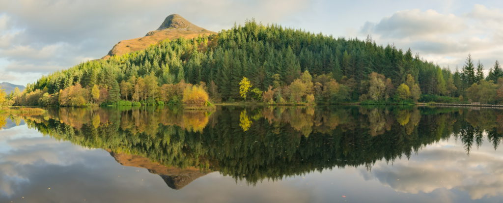Scotland’s forests now the largest in 900 years