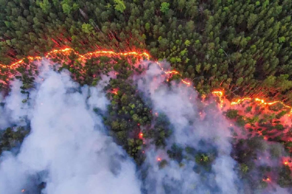 Siberia forest fires spread at unprecedented rate