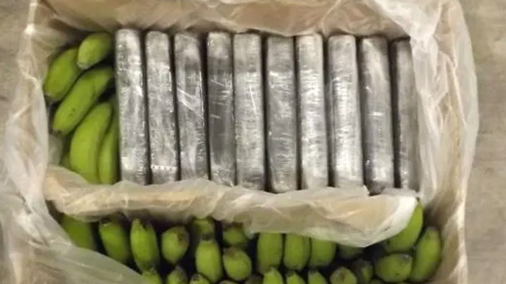 UK Border Force seize £300m worth of cocaine in Southampton