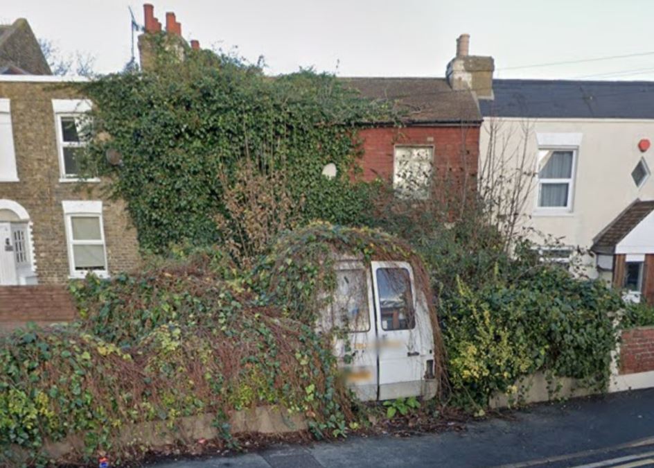 House so overgrown with shrubs, trees and vines neighbour 'forced' to build new wall