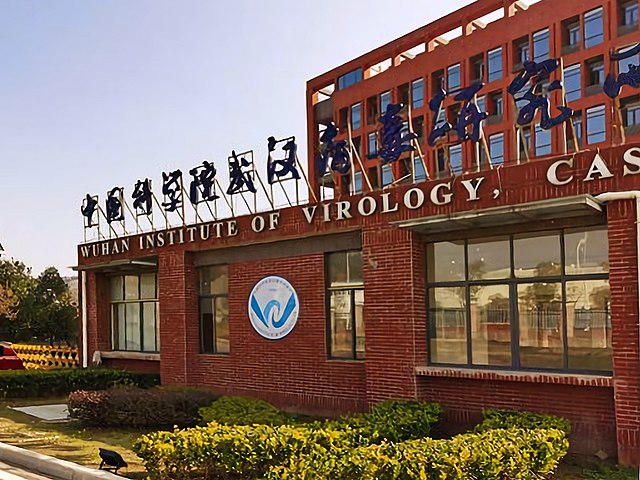 Top US scientist accused of helping Wuhan lab counter virus leak concerns