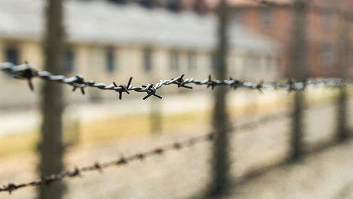 ‘No mercy': Putin mouthpiece warns of 'concentration camps and sterilisation'