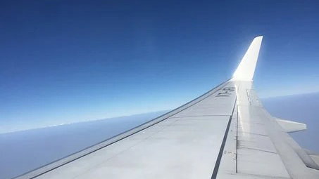 pilot forced to turn back