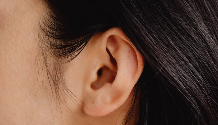 Incredible breakthrough discovered in reversing hearing loss