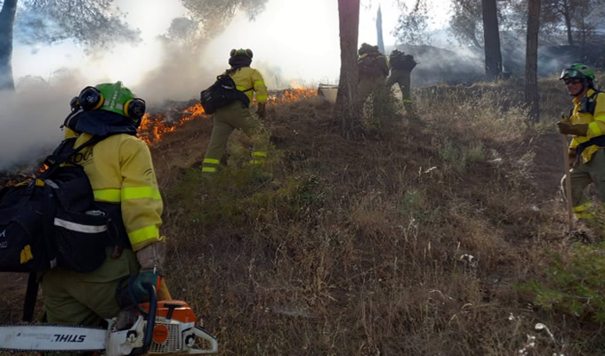 Forest fire in Granada's Cerro de San Miguel finally extinguished