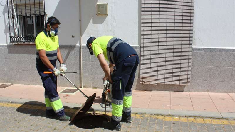 Three months to clear the sewers of rats