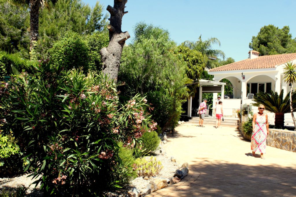 Four glorious gardens to view in Pinar de Campoverde (Alicante)