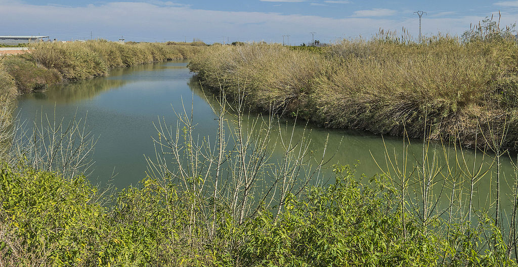 A tough River Jucar (Valencia) section for the Teulada-Moraira Fishing Club