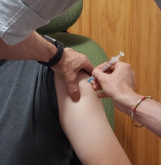 Is the French government really considering the return of the vaccination pass this summer?
