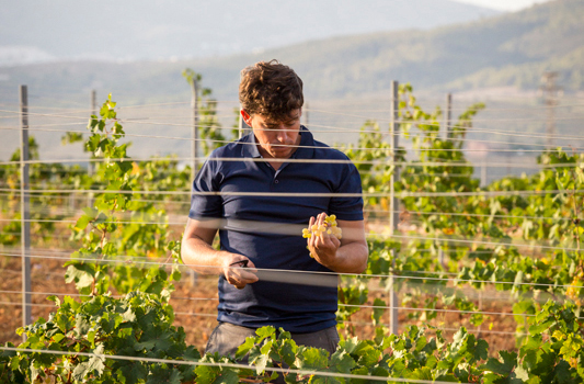 Jesús Pobre inspires the first 'Wine Tourism Manifesto' of the Valencian Community