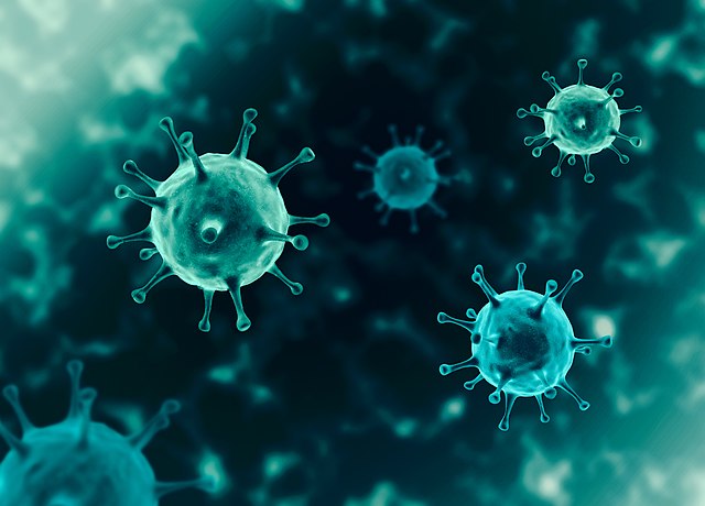 Half Coronavirus patients report long-term health issues