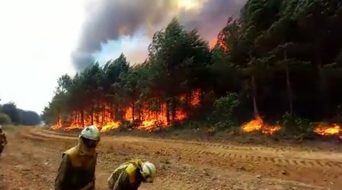 Ground and air resources continue to battle huge forest fire in Zamora