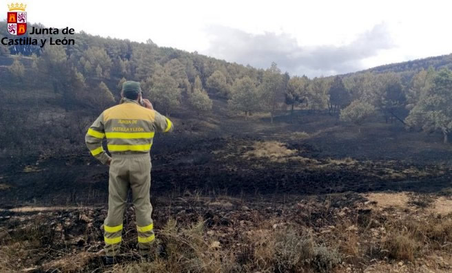 25,000 hectares have been destroyed