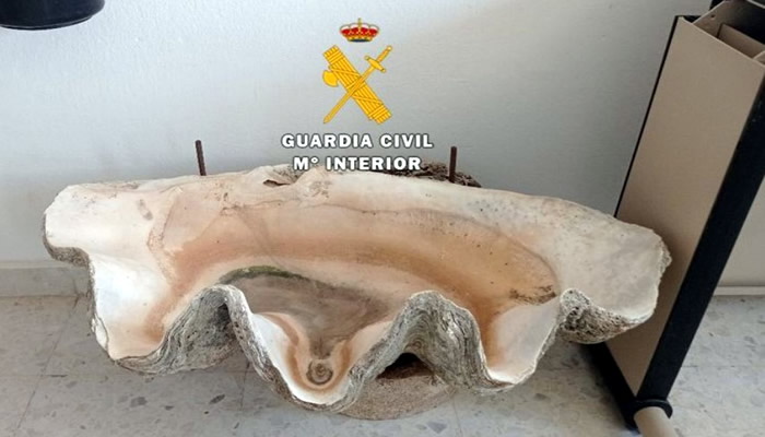 24 abused dogs and a protected giant clam recovered by Malaga Guardia Civil