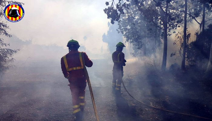 Residents evacuated after forest fire breaks out in Valencia's Riba-roja de Turia