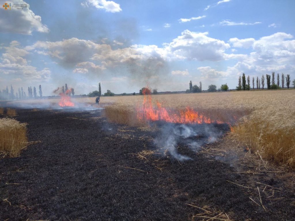 ukraine russian shelling wheat crop