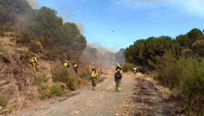 UPDATE: Level 1 alert lowered for El Ronquillo forest fire in Sevilla province