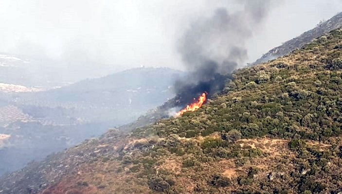 UPDATE: Granada's Pinos Puente forest fire declared 'stabilised' by Plan Infoca