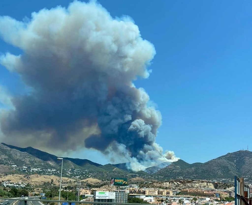 Disaster zones declared in areas of Malaga's Mijas municipality affected by recent forest fires