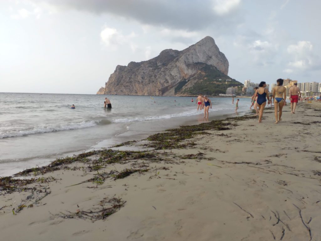 Seaweed on the beaches in Calpe (Alicante) is there to stay