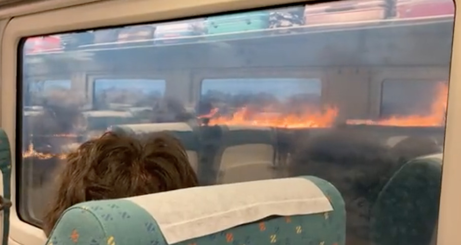 WATCH: Train surrounded by wildfires during heatwave in western Spain